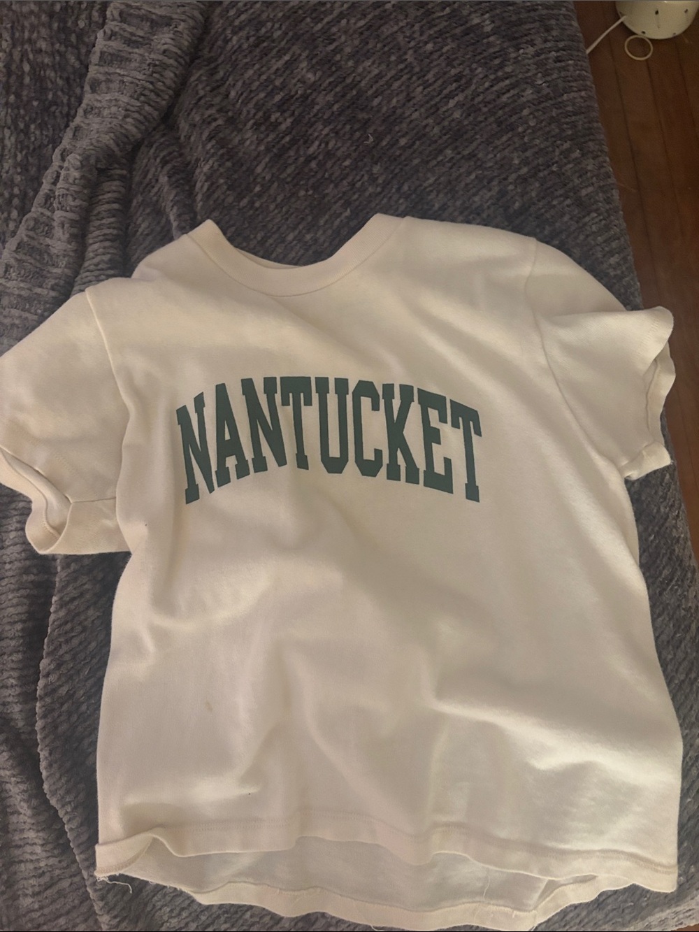 Brandy Melville Cream Tee with Green Nantucket Graphic